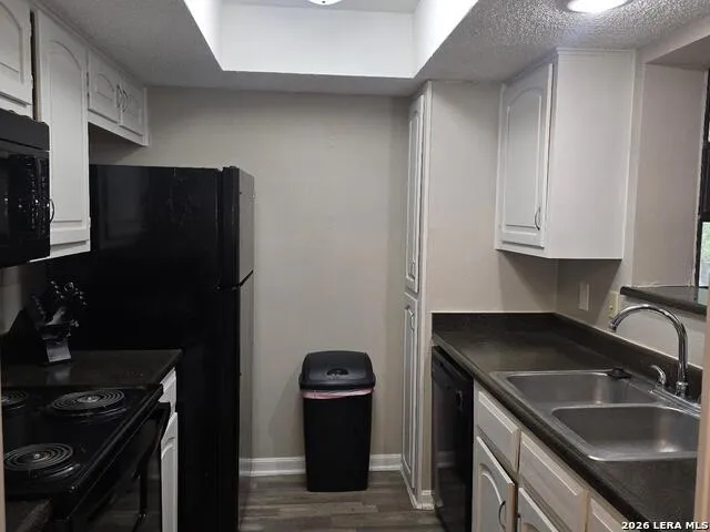 11843 Braesview #1802 #1802 San Antonio, TX 78213