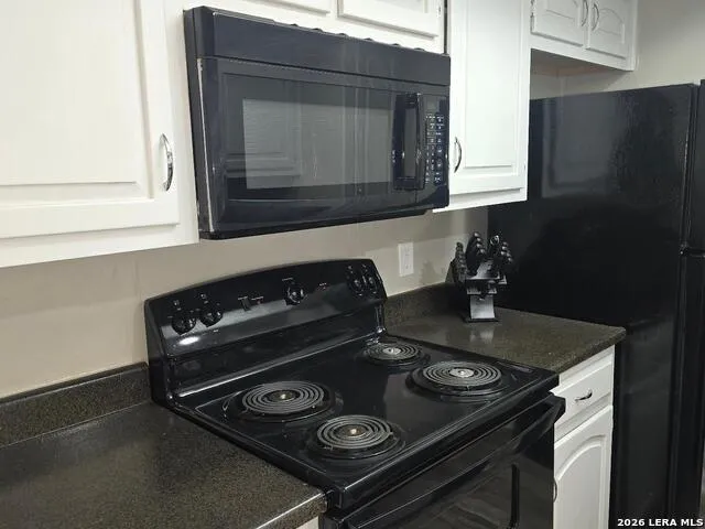 11843 Braesview #1802 #1802 San Antonio, TX 78213