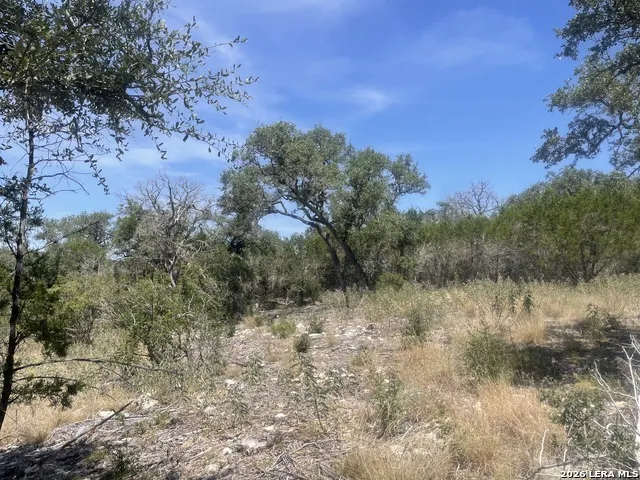 972 SERENE PARK DR Spring Branch, TX 78070