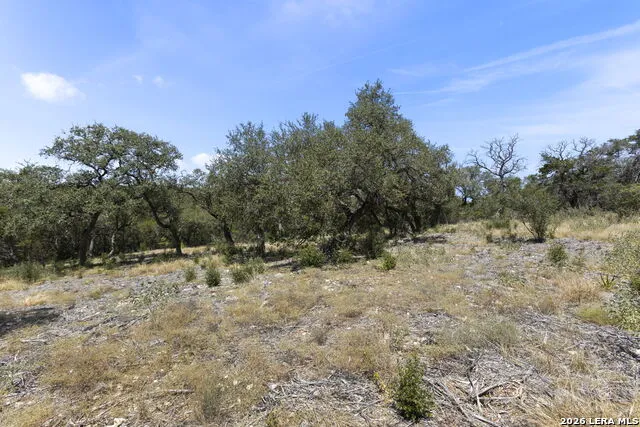 972 SERENE PARK DR Spring Branch, TX 78070