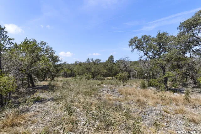 972 SERENE PARK DR Spring Branch, TX 78070