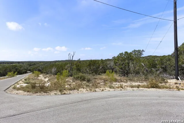 972 SERENE PARK DR Spring Branch, TX 78070