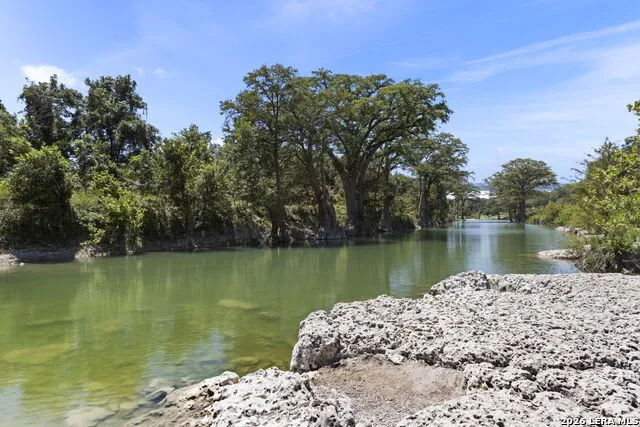 972 SERENE PARK DR Spring Branch, TX 78070