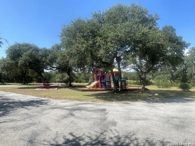972 SERENE PARK DR Spring Branch, TX 78070