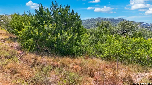 LOT 6 Chittim Cyn San Antonio, TX 78255