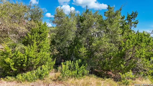 LOT 6 Chittim Cyn San Antonio, TX 78255