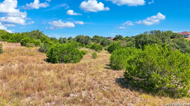 222 Starling Pass Spring Branch, TX 78070
