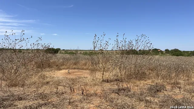 00 CR 430 Pleasanton, TX 78064