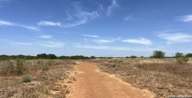 TBD CR 430 Pleasanton, TX 78064