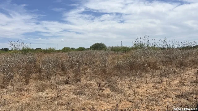 TBD CR 430 Pleasanton, TX 78064