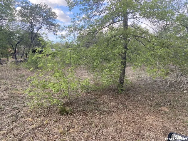 1823 Comal CV San Antonio, TX 78264