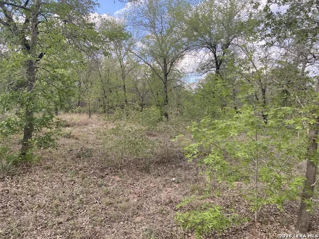 1823 Comal CV San Antonio, TX 78264