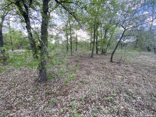 1823 Comal CV San Antonio, TX 78264
