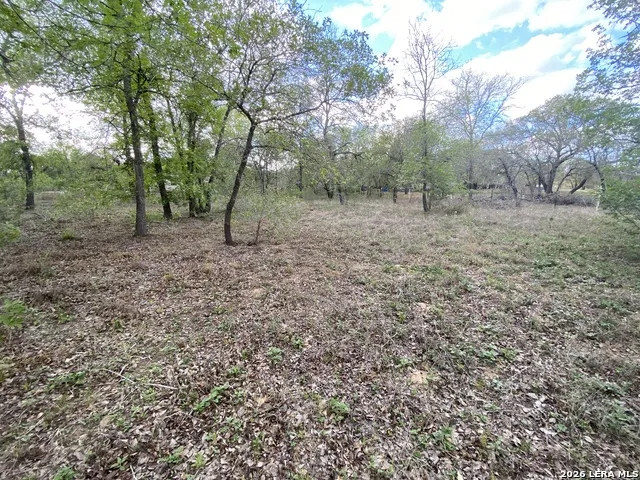 1823 Comal CV San Antonio, TX 78264