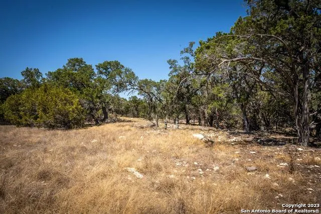 45 MEZCAYA TRL Boerne, TX 78006