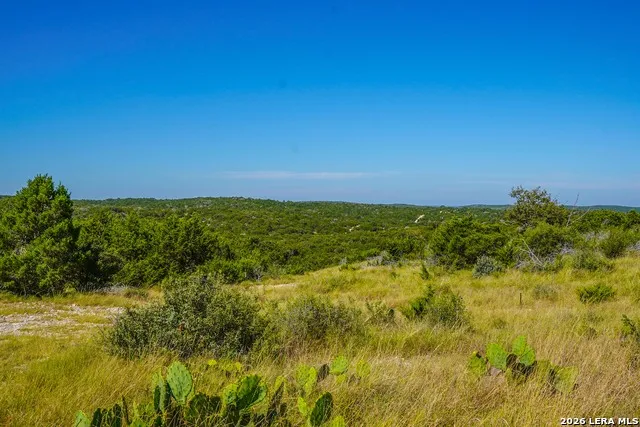 14468 COUNTY ROAD 310 Rocksprings, TX 78880