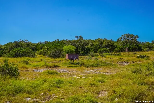 14468 COUNTY ROAD 310 Rocksprings, TX 78880