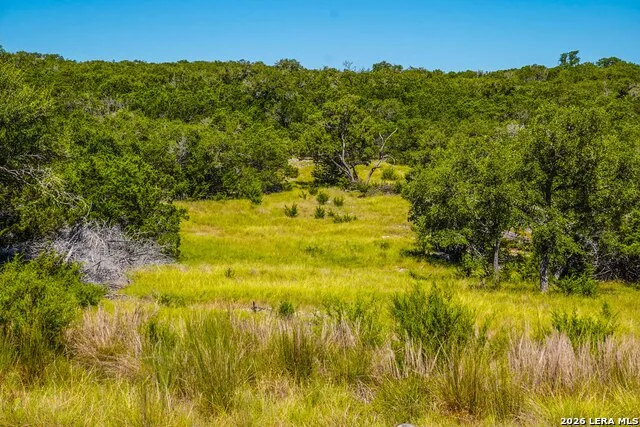 14468 COUNTY ROAD 310 Rocksprings, TX 78880