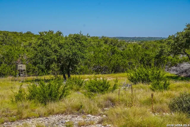 14468 COUNTY ROAD 310 Rocksprings, TX 78880