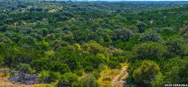 14468 COUNTY ROAD 310 Rocksprings, TX 78880