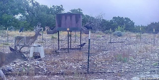 14468 COUNTY ROAD 310 Rocksprings, TX 78880