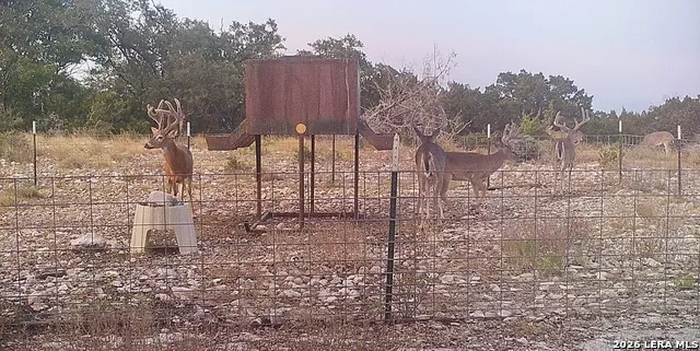 14468 COUNTY ROAD 310 Rocksprings, TX 78880