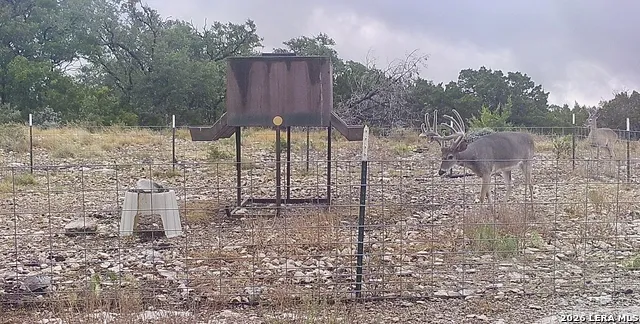 14468 COUNTY ROAD 310 Rocksprings, TX 78880