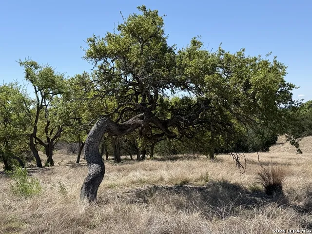 TBD McVea Woods Road Kerrville, TX 78028