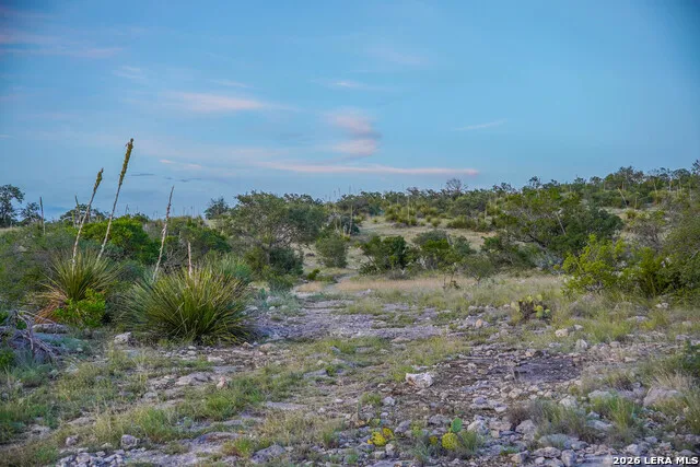 0 W CR 450 Rocksprings, TX 78880