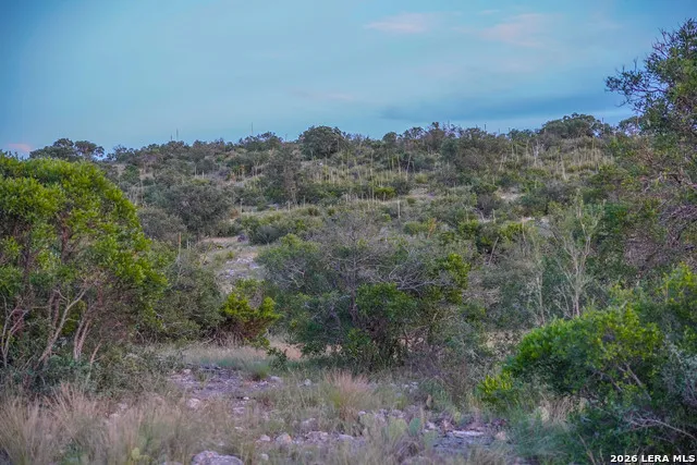 0 W CR 450 Rocksprings, TX 78880