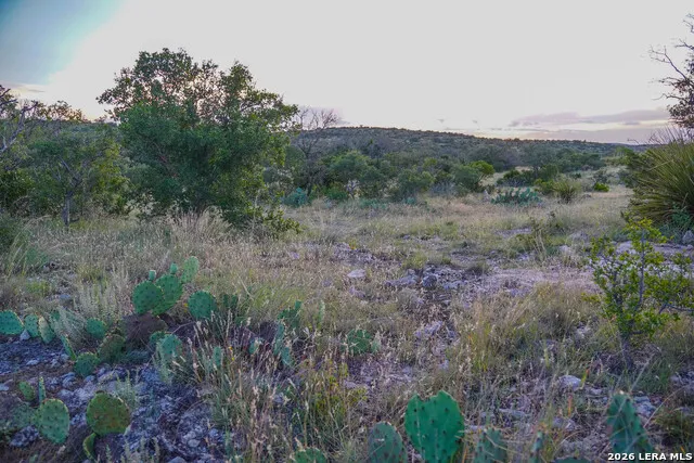0 W CR 450 Rocksprings, TX 78880