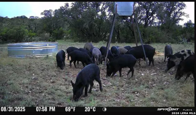 0 W CR 450 Rocksprings, TX 78880
