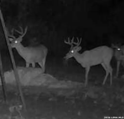 0 W CR 450 Rocksprings, TX 78880