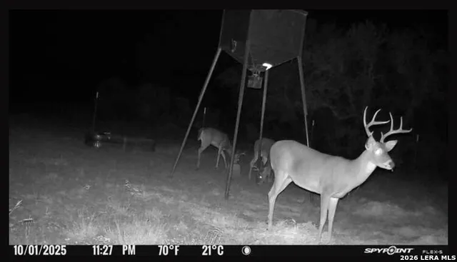 0 W CR 450 Rocksprings, TX 78880
