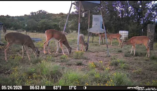 0 W CR 450 Rocksprings, TX 78880