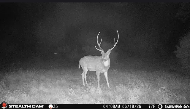 0 W CR 450 Rocksprings, TX 78880
