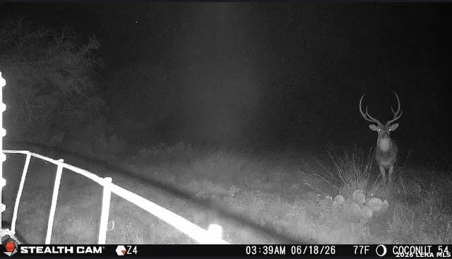 0 W CR 450 Rocksprings, TX 78880