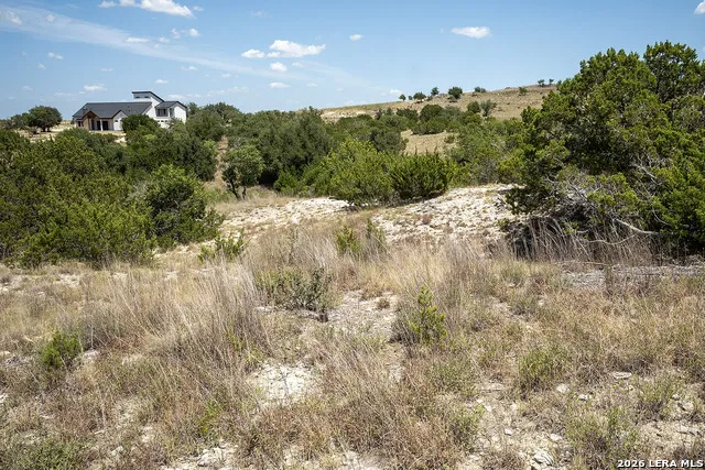 LOT 16 Scenic Hills Ct Blanco, TX 78606