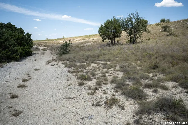 LOT 16 Scenic Hills Ct Blanco, TX 78606