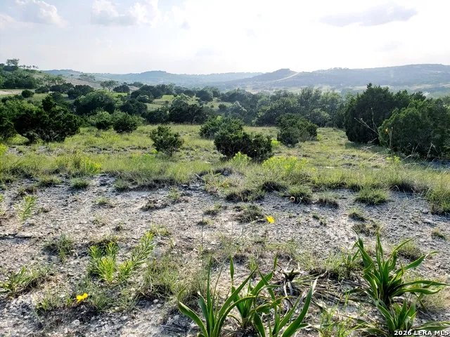 LOT 16 Scenic Hills Ct Blanco, TX 78606