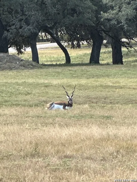 LOT 16 Scenic Hills Ct Blanco, TX 78606
