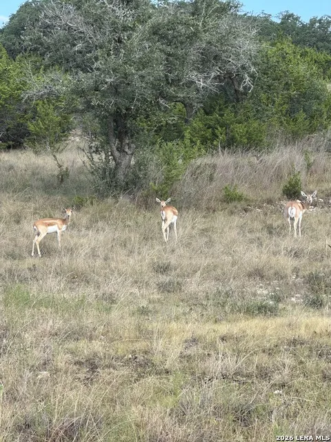 LOT 16 Scenic Hills Ct Blanco, TX 78606