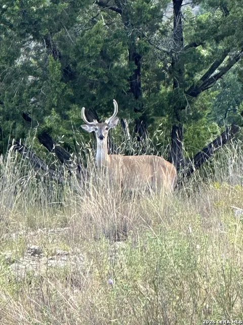 LOT 16 Scenic Hills Ct Blanco, TX 78606