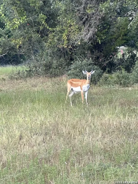 LOT 16 Scenic Hills Ct Blanco, TX 78606