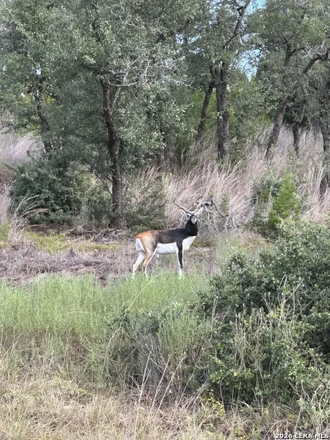 LOT 16 Scenic Hills Ct Blanco, TX 78606