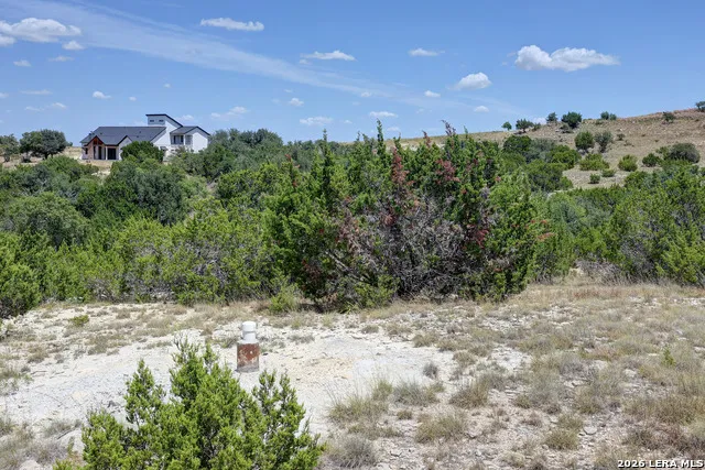 LOT 16 Scenic Hills Ct Blanco, TX 78606