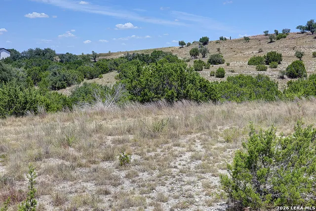 LOT 16 Scenic Hills Ct Blanco, TX 78606