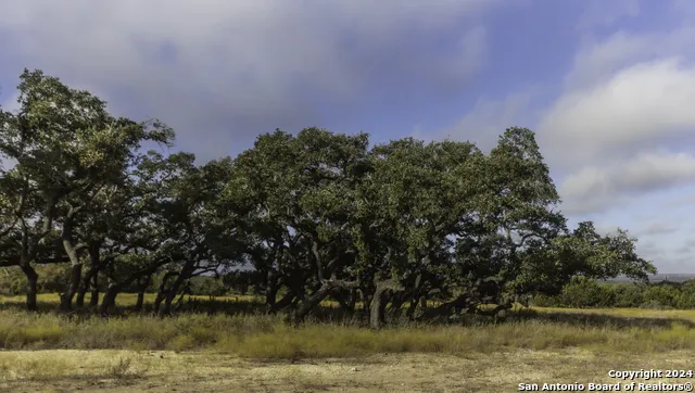 LOT 1 Legacy Hills Johnson City, TX 78636