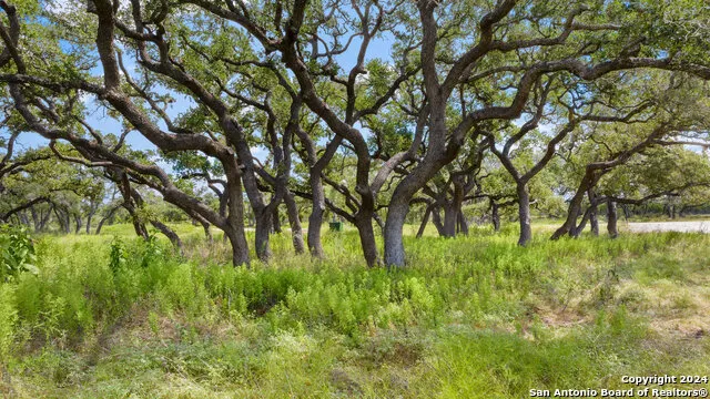 LOT 1 Legacy Hills Johnson City, TX 78636