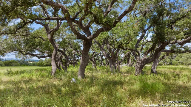 LOT 1 Legacy Hills Johnson City, TX 78636